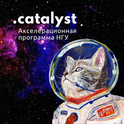 Catalyst.Pro — акселерационная программа НГУ